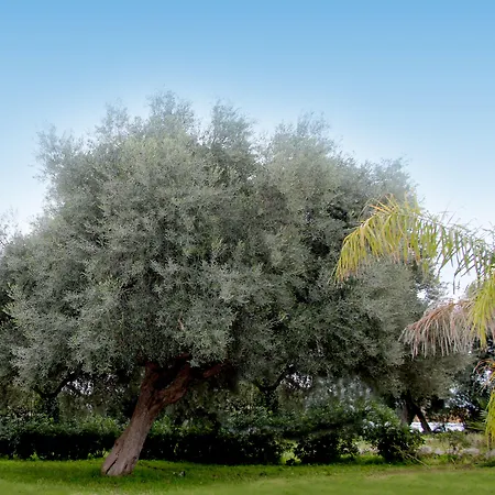 Resort Zaiera Siracusa Solarino