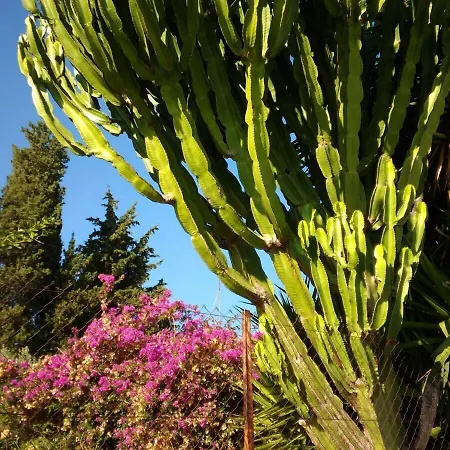 Zaiera Siracusa Solarino