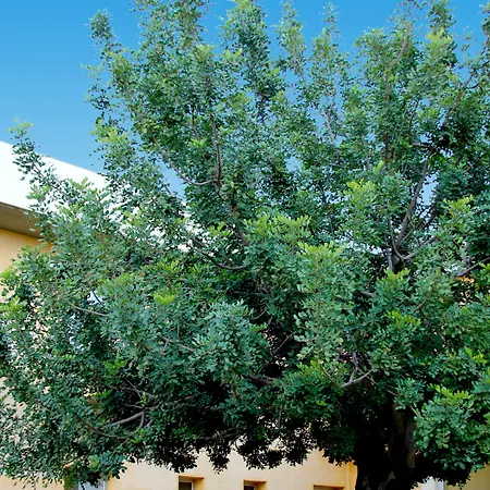 Resort Zaiera Siracusa 4*